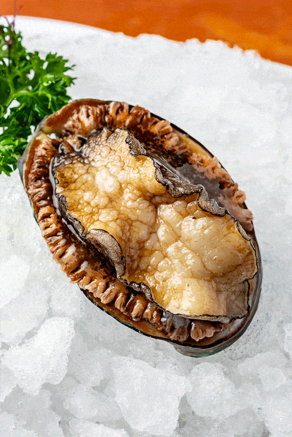 鲜美的肉质经汤锅炖煮后吸足了汤汁 鲜活六头鲍 鲍鱼个个精肥,裙边不