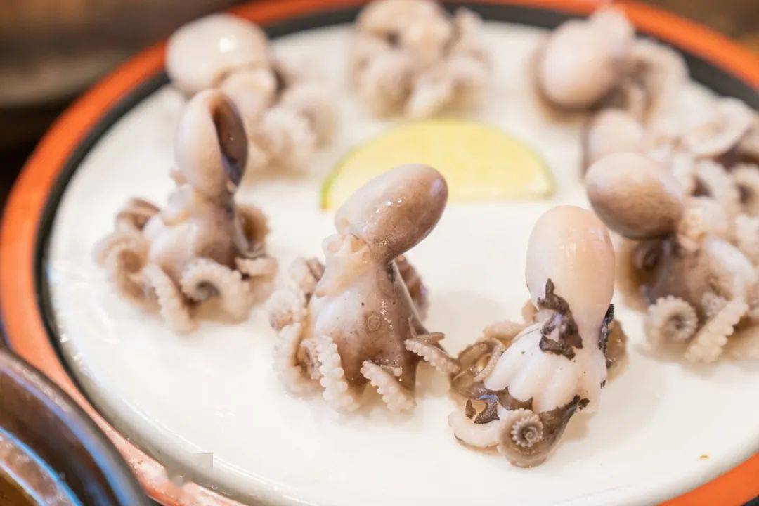 冰镇八爪鱼