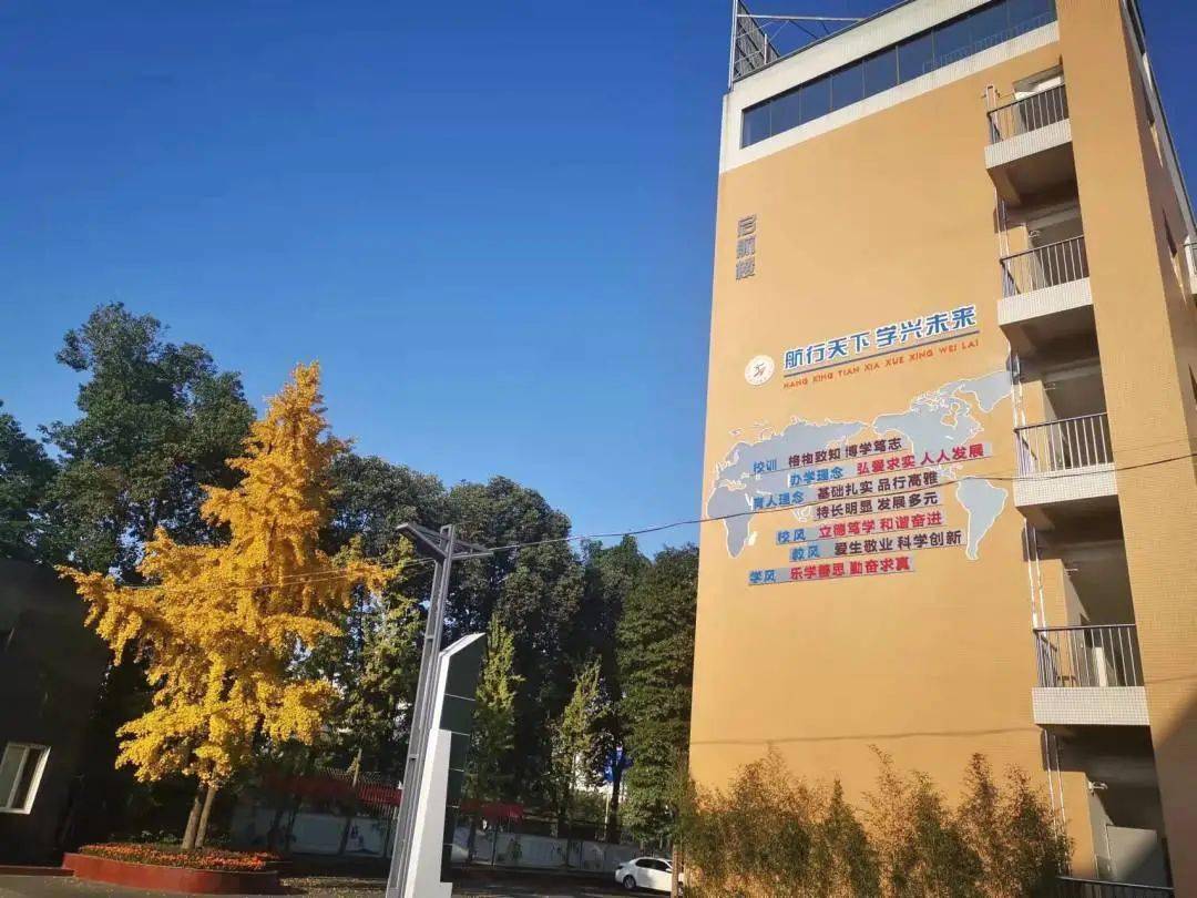 西航港一中无论是清晨雨后,还是阳光午后,金色的银杏总是光彩夺目.