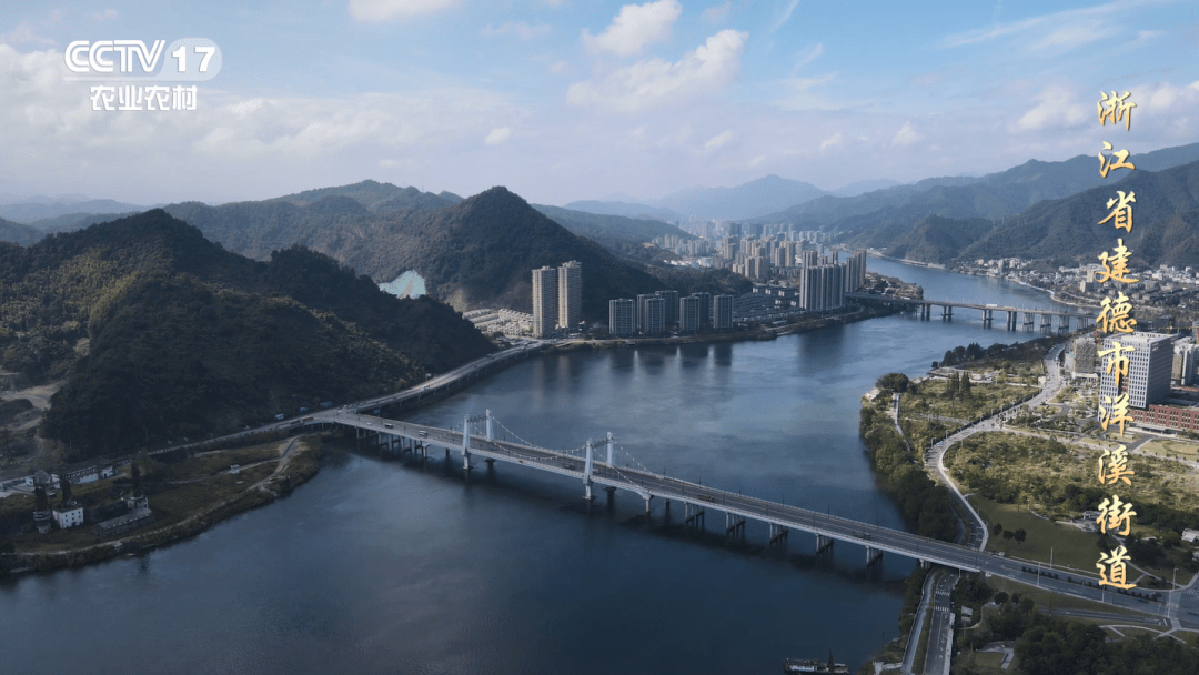 建德又上央视啦!这次是因为…_洋溪街道_建设_生态