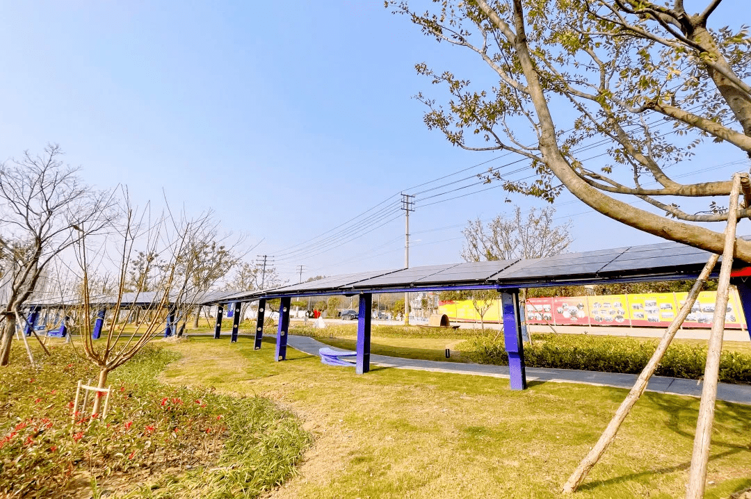 "杨净说,彩虹光伏长廊项目采用低铁超白钢化布纹光伏玻璃,能耗自控