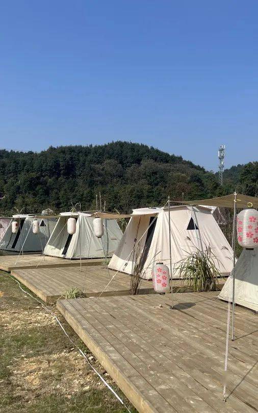 产业|重庆沙坪坝：拓展乡村多重价值 推动资源要素互融
