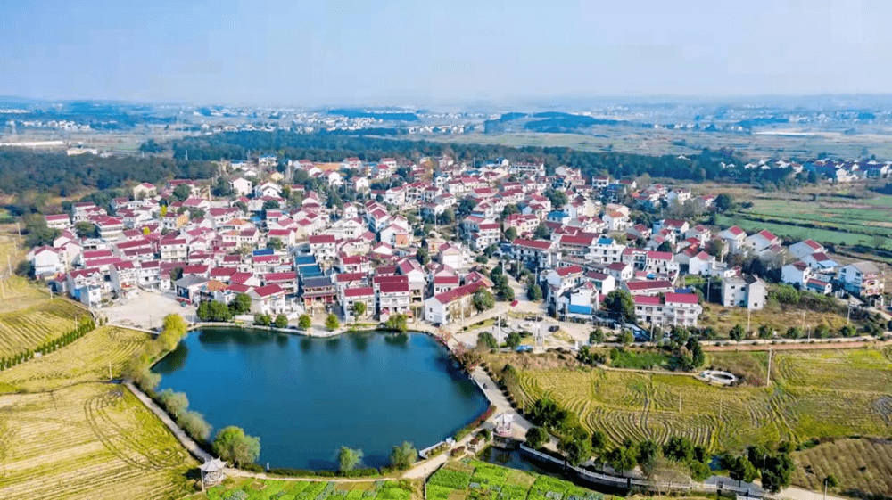 学习强国望江打造幸福河湖点亮生态名片