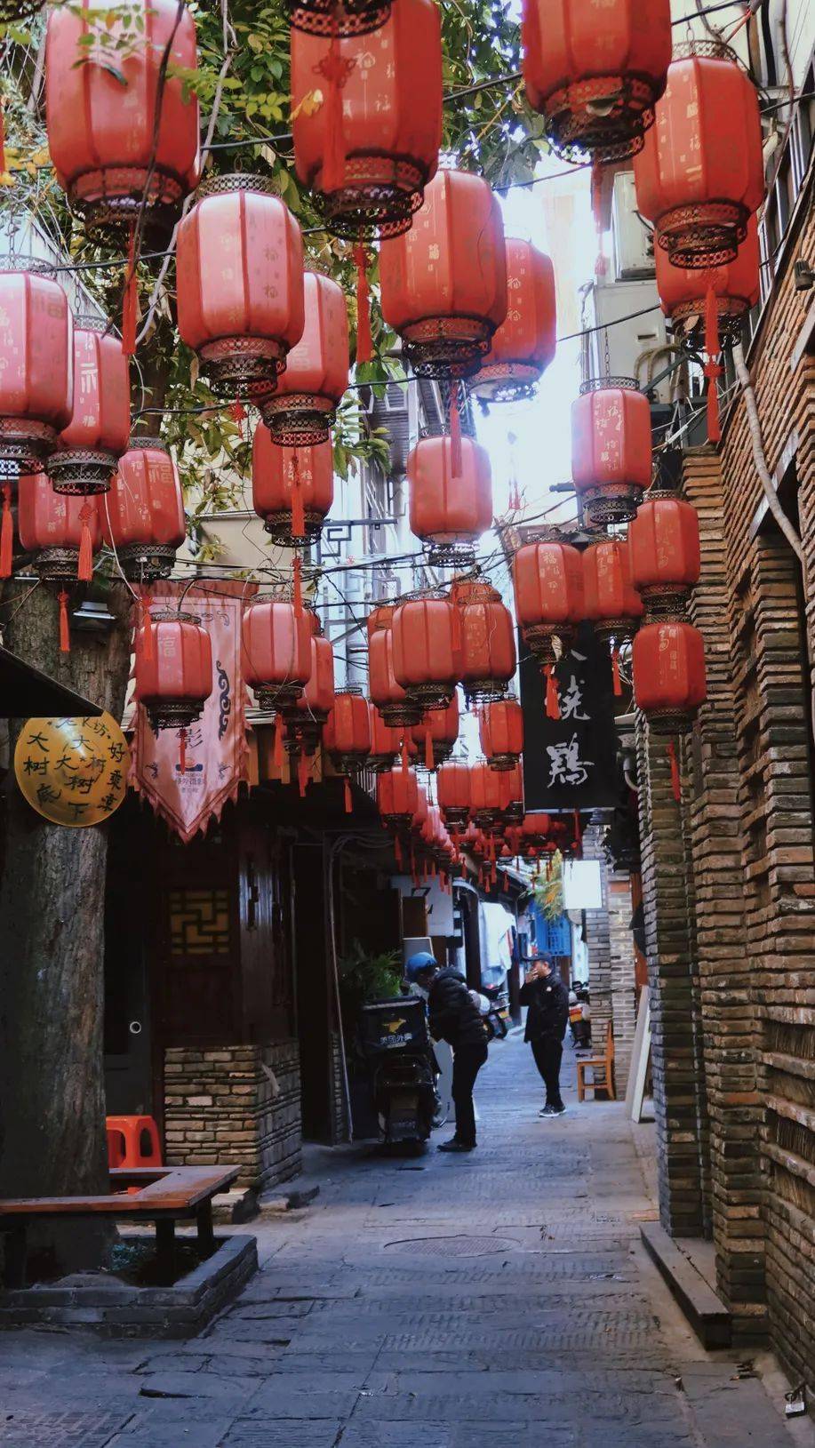《小巷烟火气,枝叶总关情》