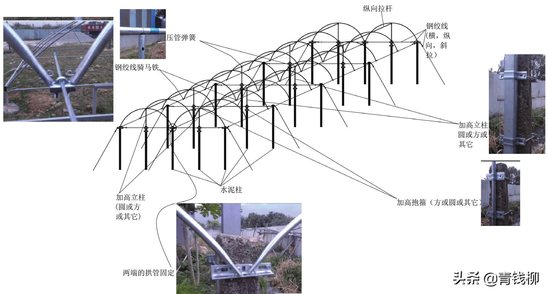 图 3 避雨大棚结构图主体骨架与地面接触材料采用热浸镀锌管.