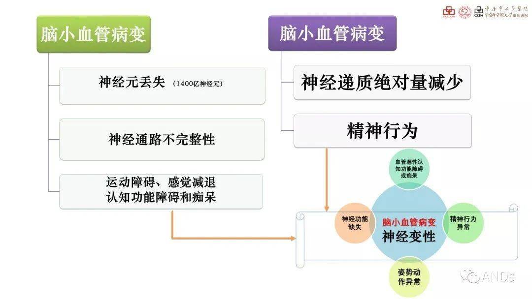 脑梗死病因图片