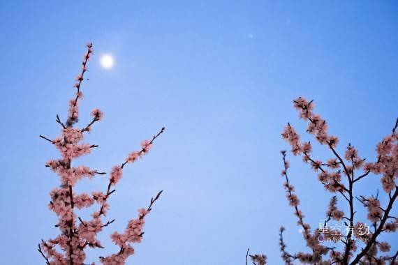 太阳|星空有约|看不到“天狗吞日”，我们就一起看“夜空中最亮的星”吧！