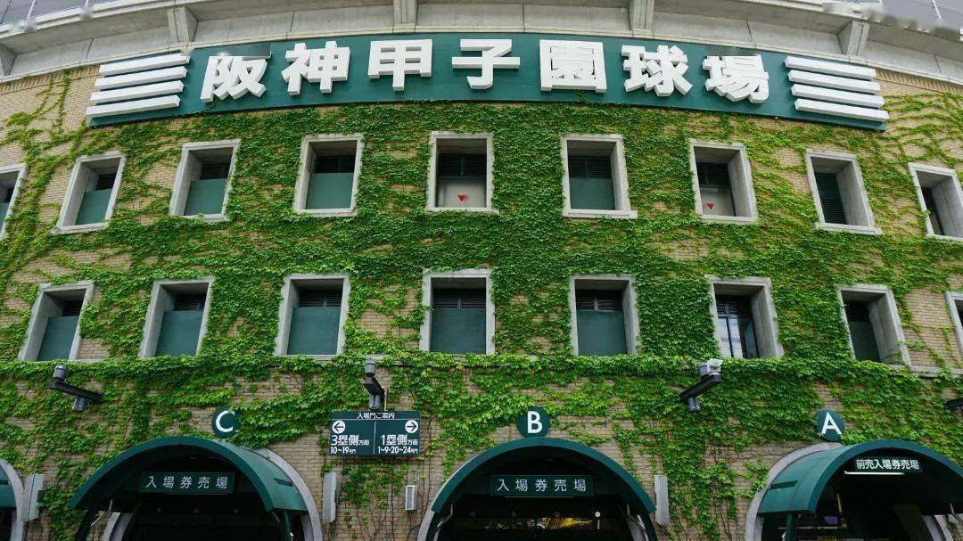 甲子园03我国棒垒球虽然美国职业棒球大联盟(major league baseball)