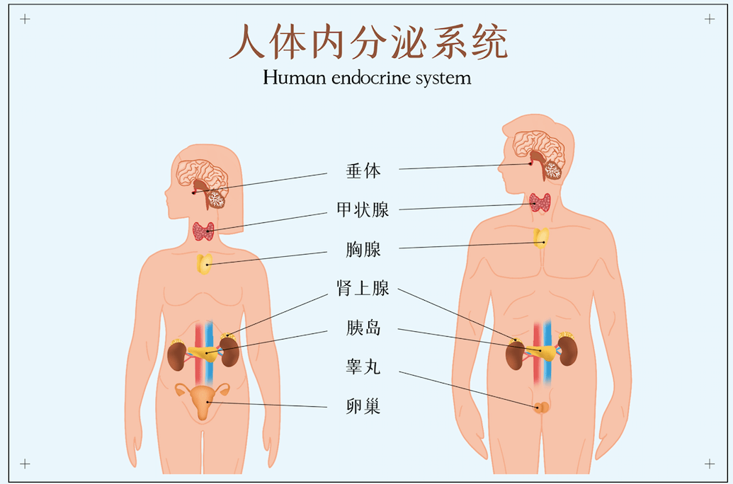 症状30岁男子突然长到快1米9，可脸却越来越丑，真相令人后怕…