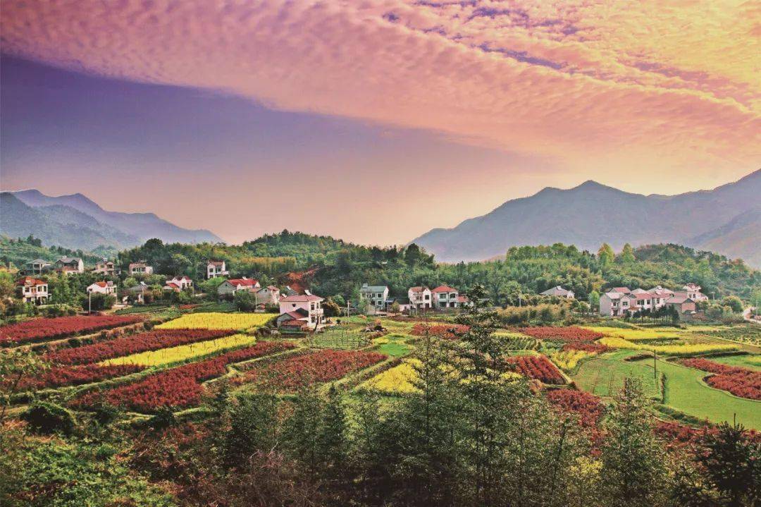 世界最佳旅游乡村,这项全球性荣誉为何花落余村?_安吉_发展_保护