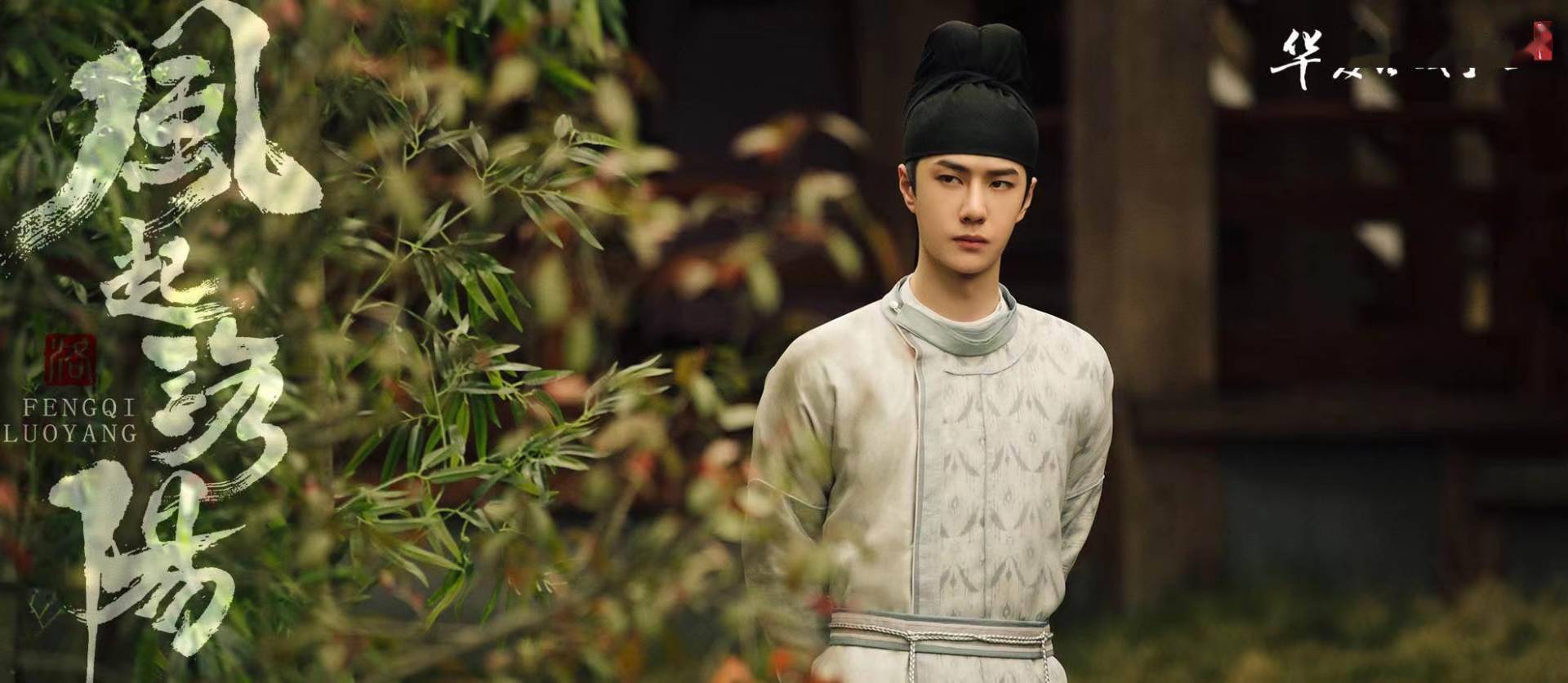 剧情|王一博新剧网评两极分化，一文看清《风起洛阳》优缺点