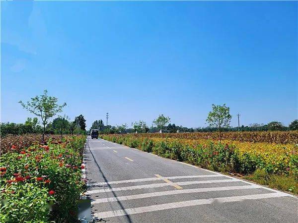 阡陌交通美景如画.