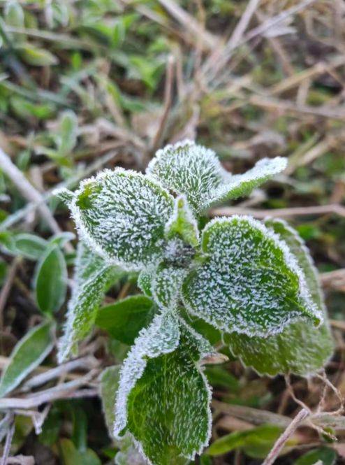 白霜唤醒清晨,广州北部气温跌破0°c