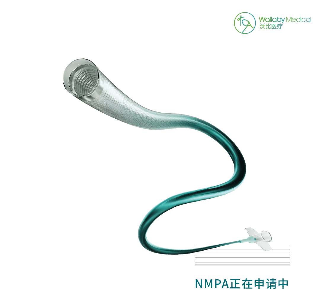 沃比医疗针对缺血性脑卒中自主研发的血栓抽吸导管是一款旗舰产品.