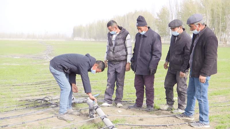 连日来，喀什地区岳普湖县各乡镇早准备、早着手，全力做好小麦冬灌工作