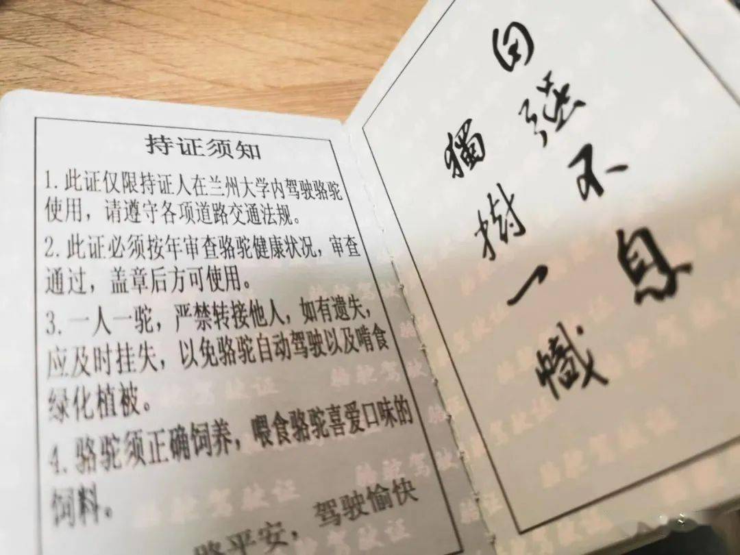 图源:知乎@江寄骆驼证内还有违章记录表:图源:知乎@森林与月在飞沙走