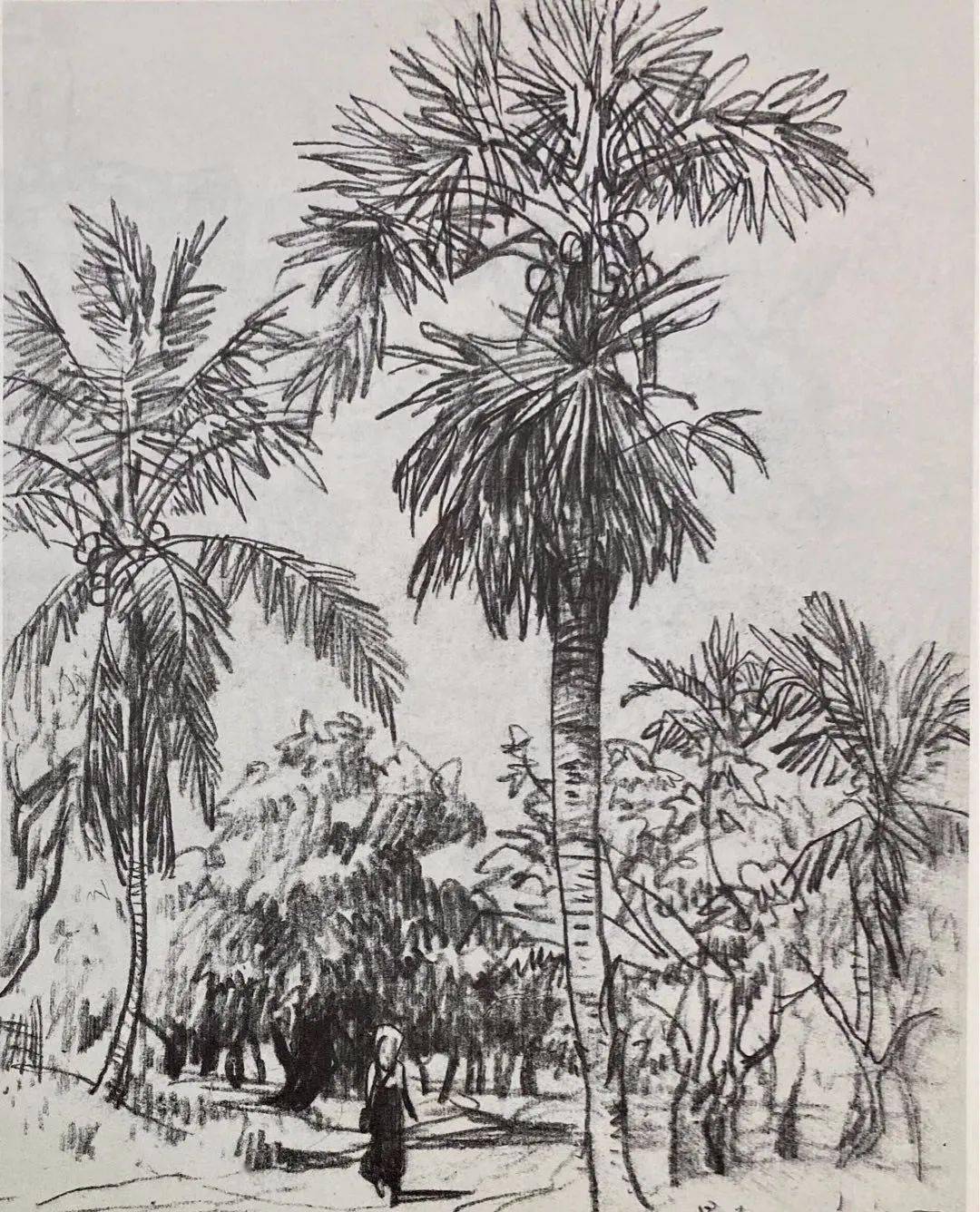 北京画院画家杨刚素描与速写