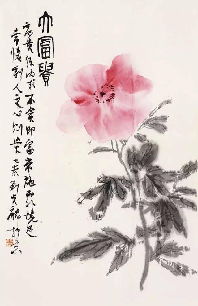 大师们这样画牡丹!_陈淳_画风_画派
