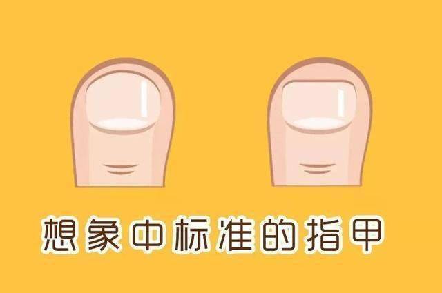 修剪用了20多年才知道，指甲剪上还有一个小机关，以前一直都用错了