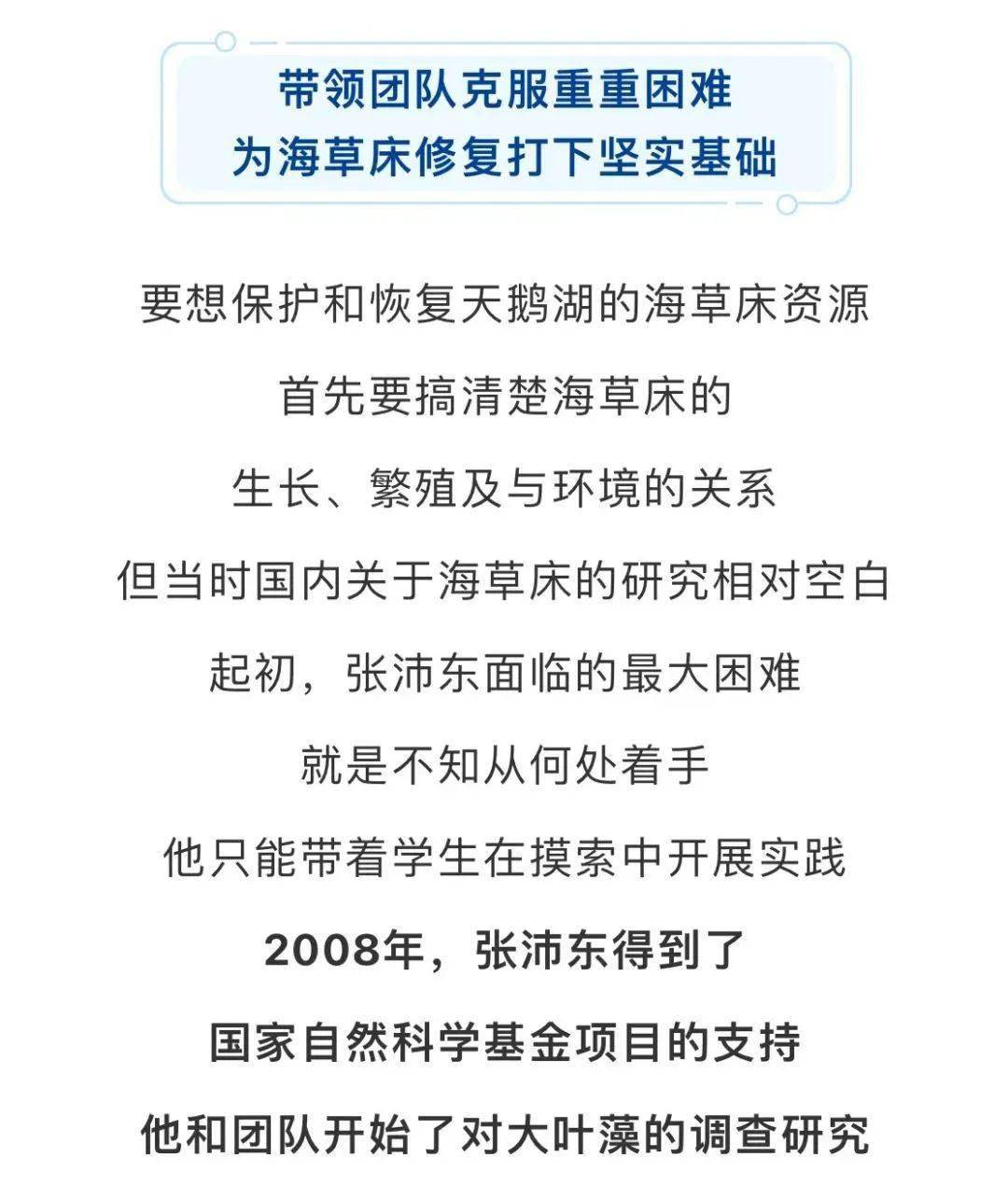 海草~海草~海草 青岛这群人15年只干这一件事_张沛东_团队_天鹅湖