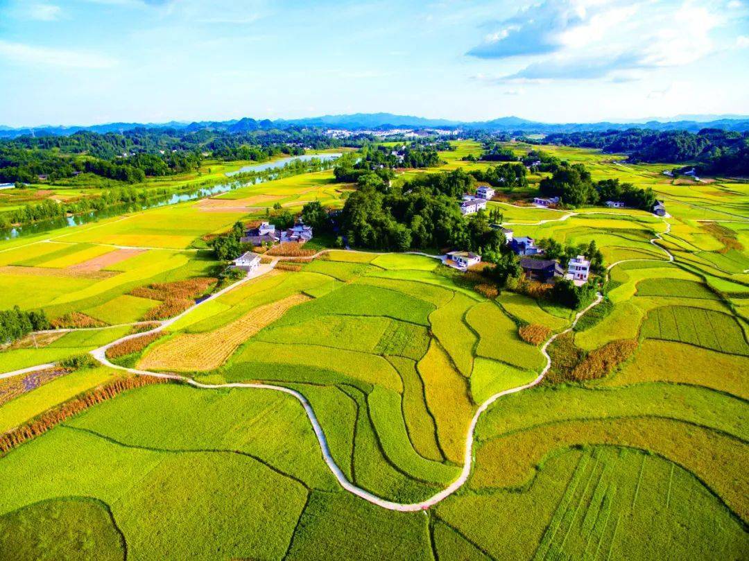 幸福新遵义】遵义:跑出农业现代化"加速度"_生产_发展_农村部