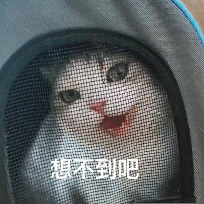 氛围 冬天第1套look,跪求你这样穿,好看又高级!!