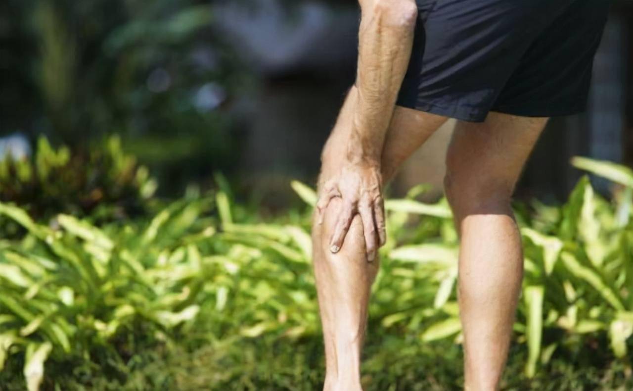 年纪越大膝盖越疼50岁后常吃这5种食物或能帮助缓解