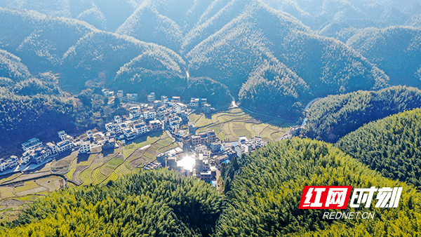 钟伟锋|湖南新田：林长制激活乡村旅游