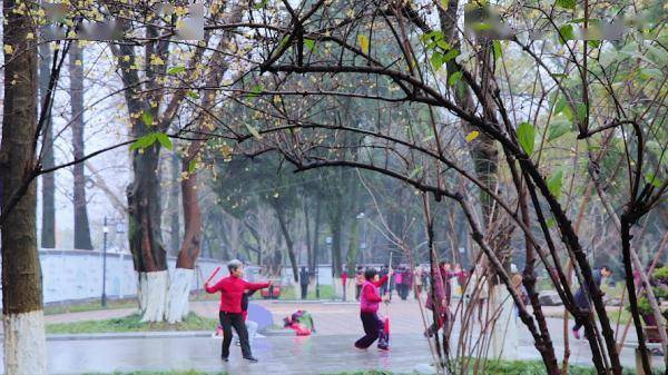 防范|提醒爸妈！冬季晨练风险高，这4点一定要注意