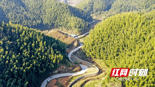 钟伟锋|湖南新田：林长制激活乡村旅游