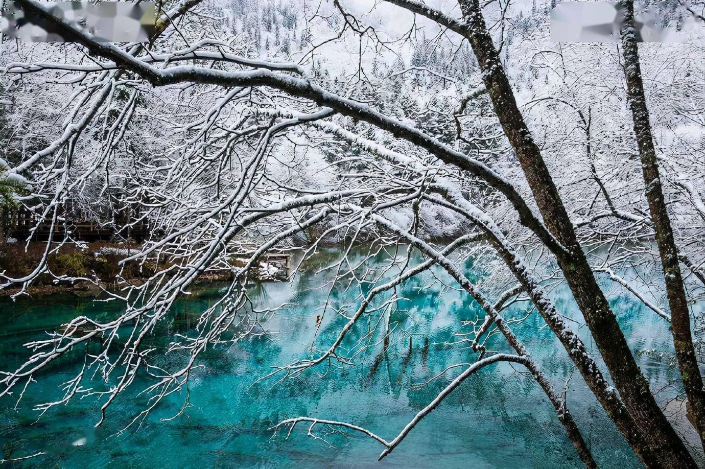 九寨沟冬天雪景图片图片