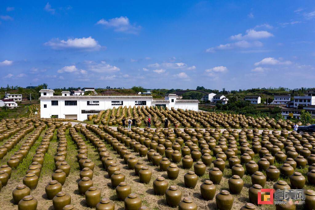 富顺马鞍小镇农场图片