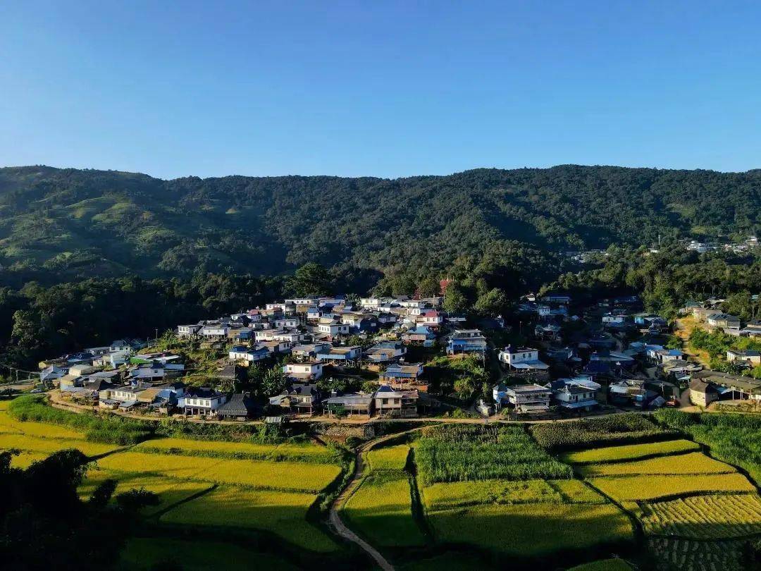 乘着火车游西双版纳去勐海丨走进版纳之巅生态勐宋