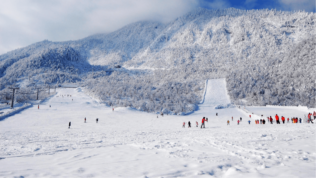 周艺|今日大雪，岁月如歌，温暖常在