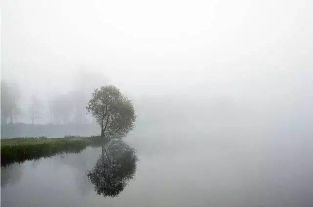 秋冬季节如何拍出意境美?_摄影_雾气_画面