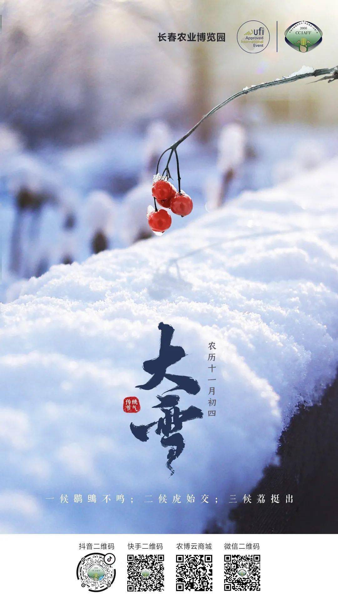 节气丨今日大雪大雪至万物藏