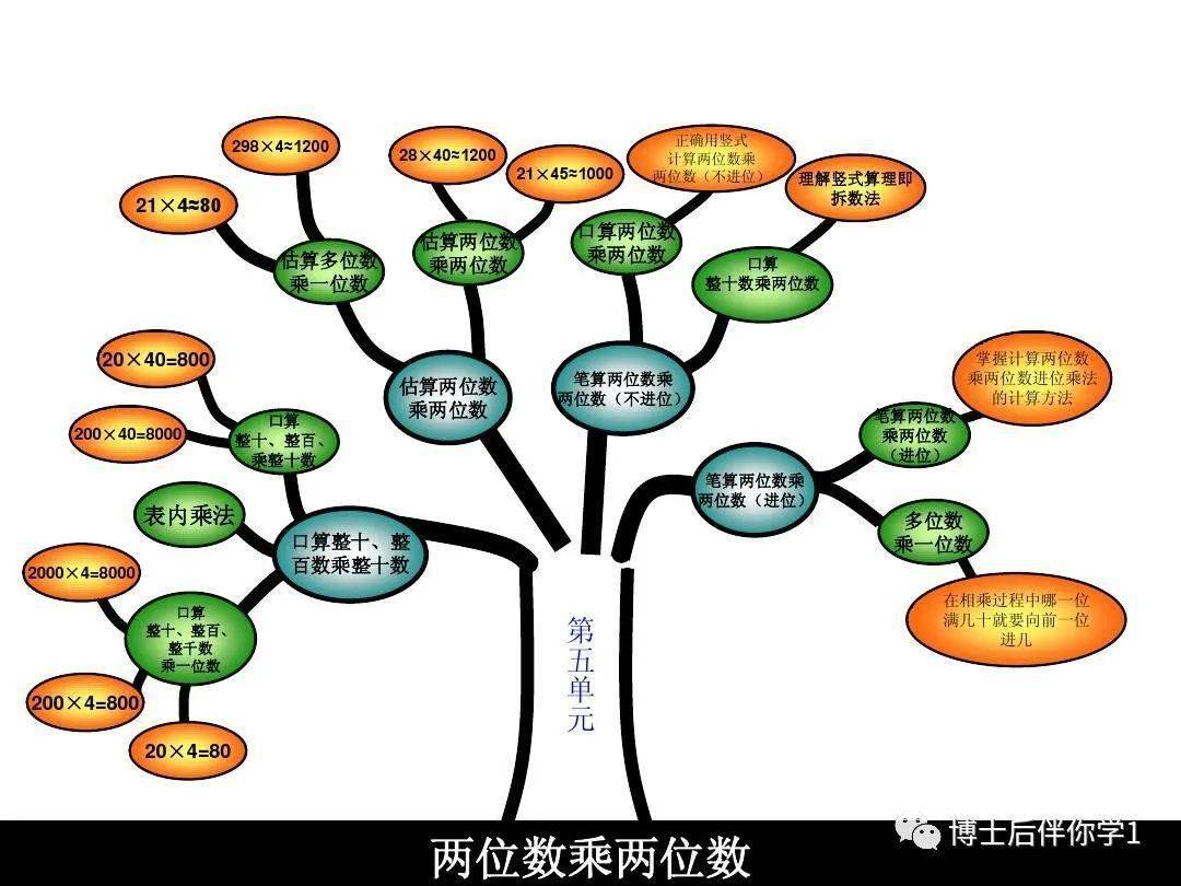 三年级数学智慧树图片