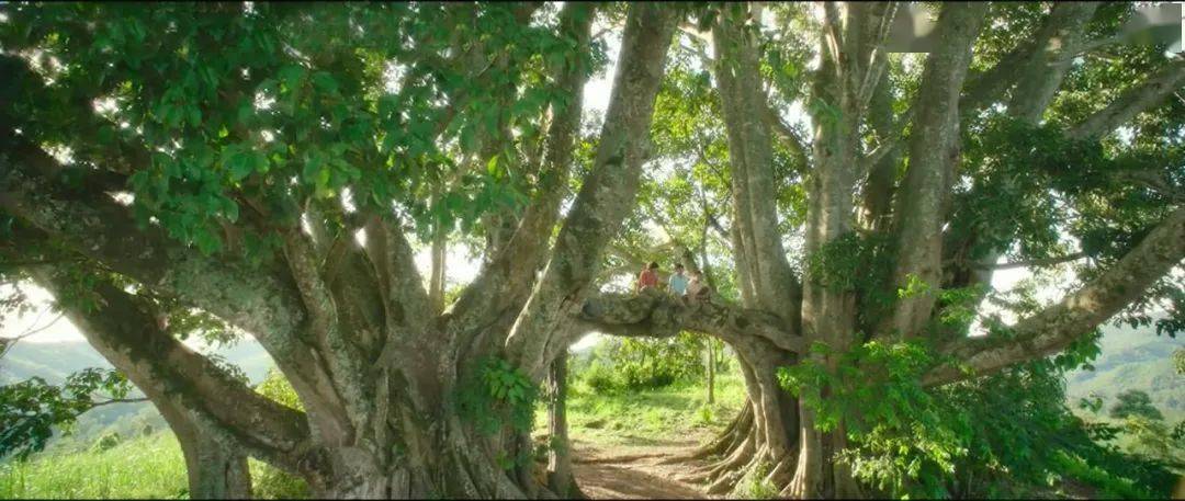 一点就到家拍摄地 1fa7d7742cc949f681420b620dbcacc5.jpeg