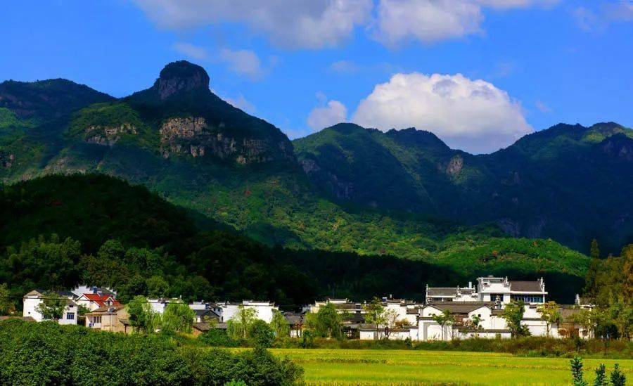 大片来啦森林龙游美不胜收