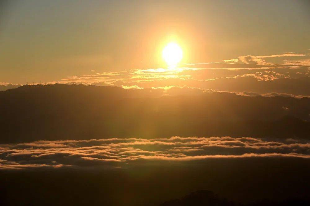 冬日云龙天子山，漫山“黄金甲”