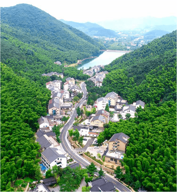 长兴县顾渚村简介图片