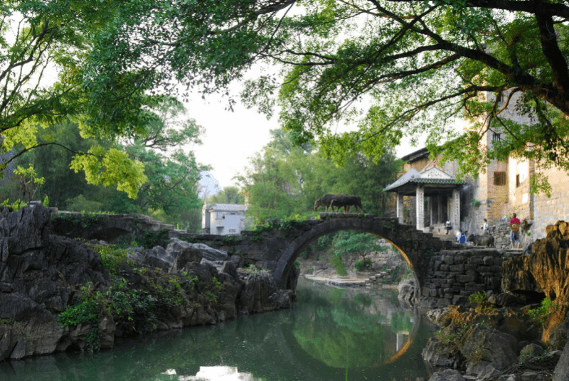 桂东|桂东南四市抱团发力，合力打响“岭南风光”旅游品牌