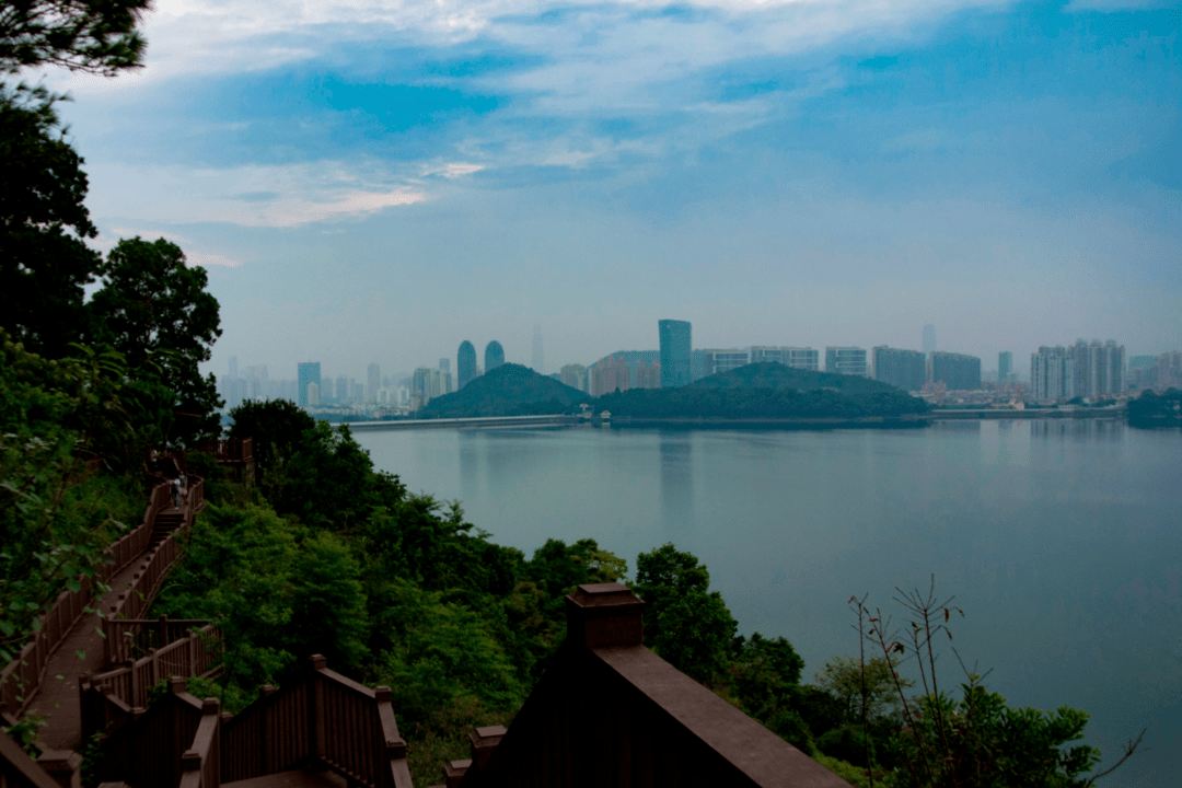 广东|藏不住了！梧桐山入选广东最美旅游目的地！3条路线赏遍美景！