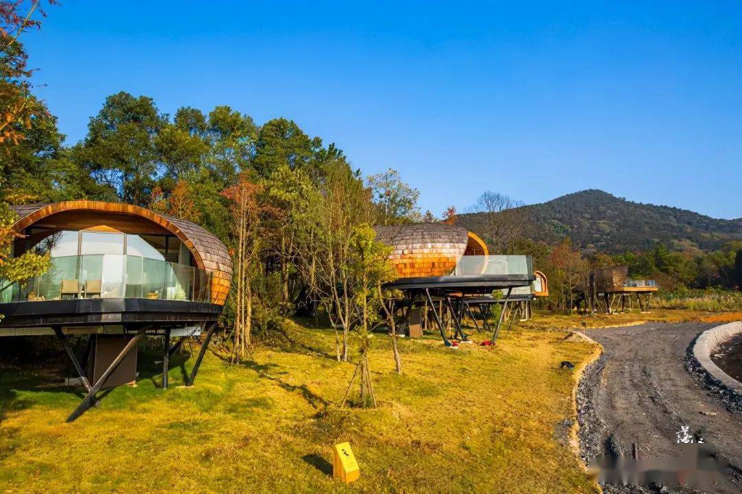 江西新余有一处"树蛙部落",环境优美,网友:有回归自然的野趣_孩子_大