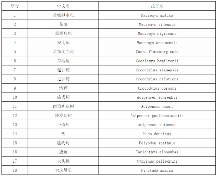 水龟品种排行_2021龟圈的半年大事记盘点