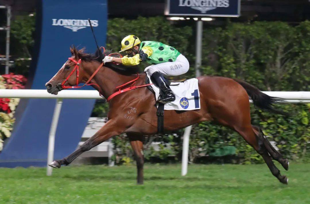 浪琴表国际骑师锦标赛潘顿平纪录三度夺冠