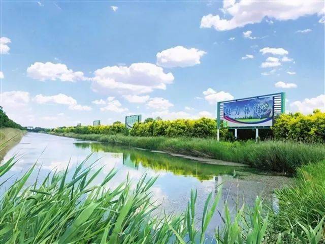 看静海静海十景林海经济区