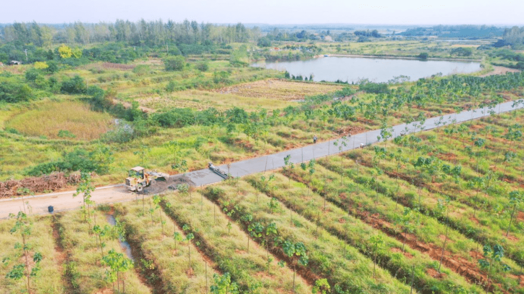 【乡村振兴】安陆木梓乡:以"路"为笔绘就乡村振兴新图景_王河村_堤坝