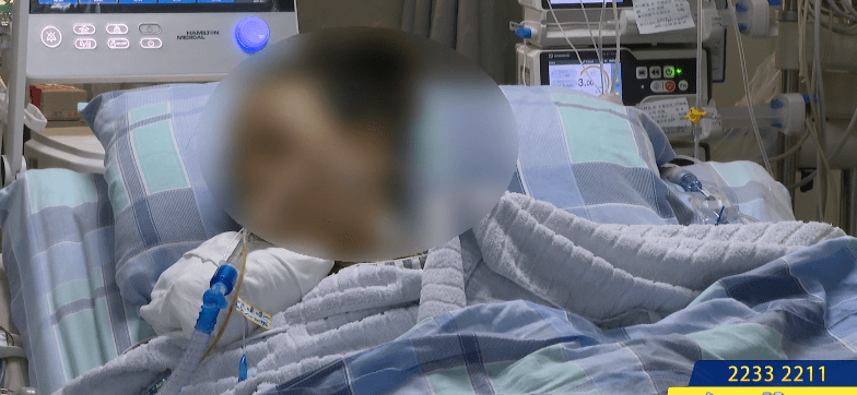 肝功能|女子逗猫后进了ICU，医生提醒：这种病在南方多发