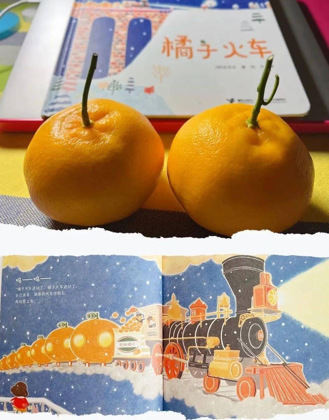 橘造句创意